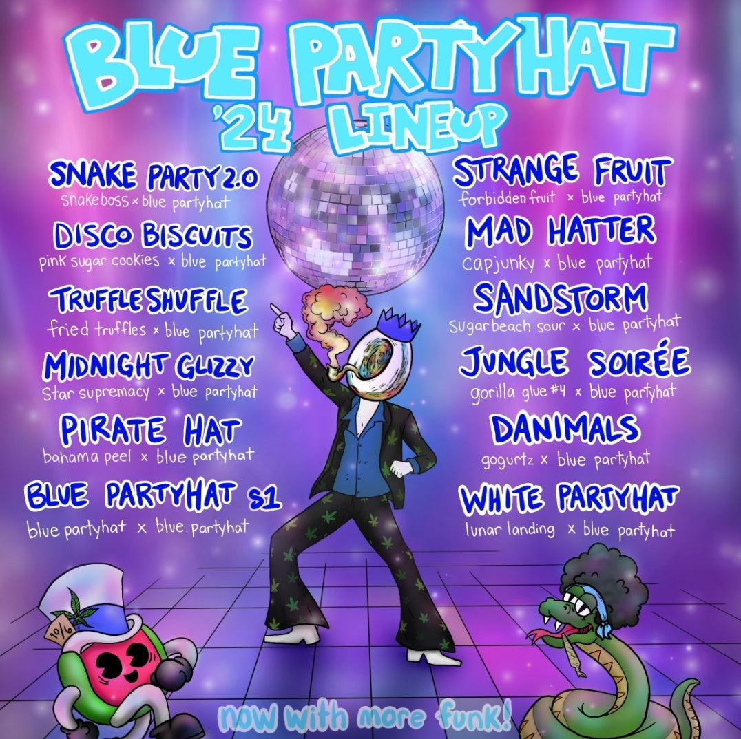 Silver Party Hat (fem)